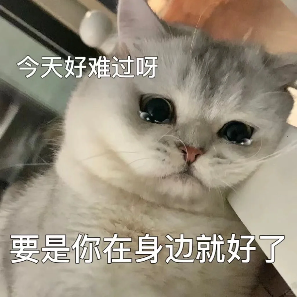 猫咪?表情包，很委屈?