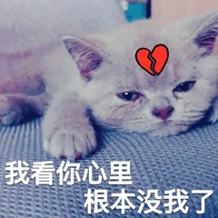 猫咪表情包 套图（哄不好）