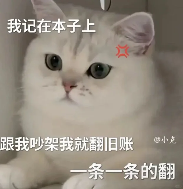 猫咪表情包 套图（逆子）