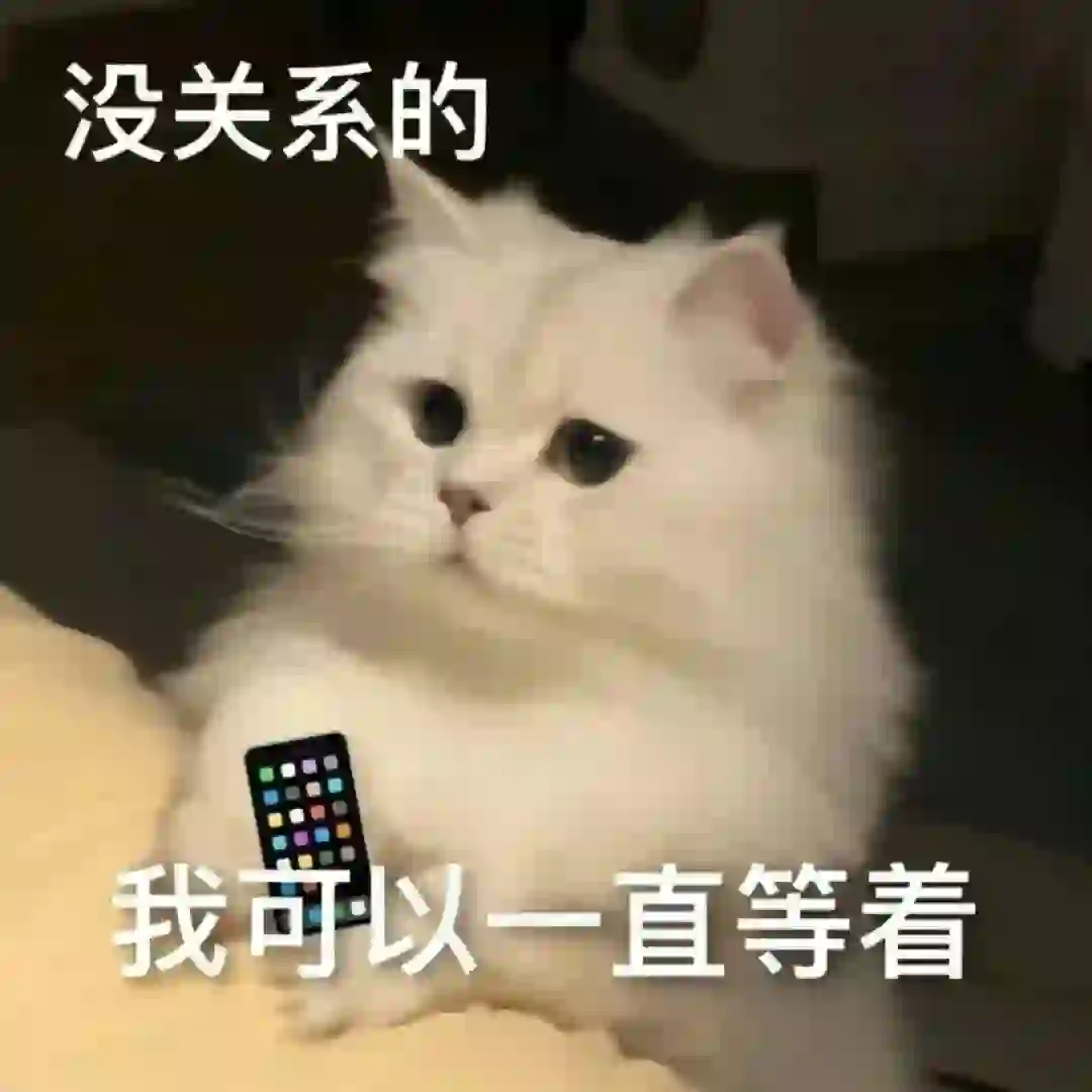 可可爱爱的猫猫表情包