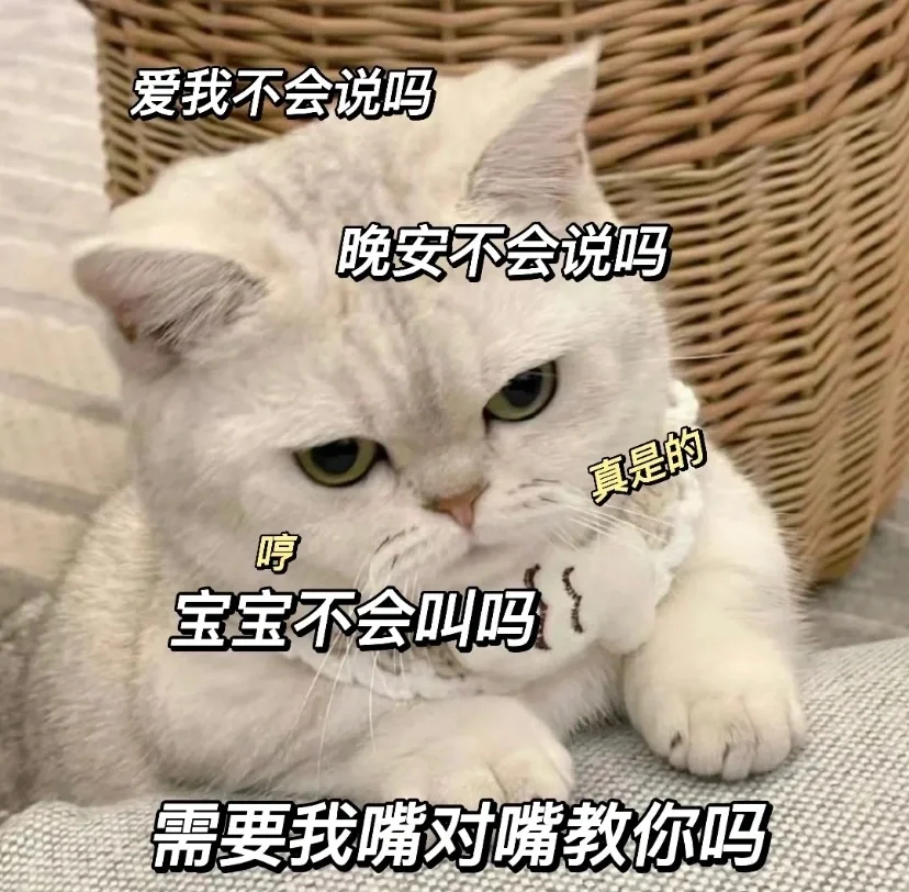 撒娇卖萌的猫咪表情包