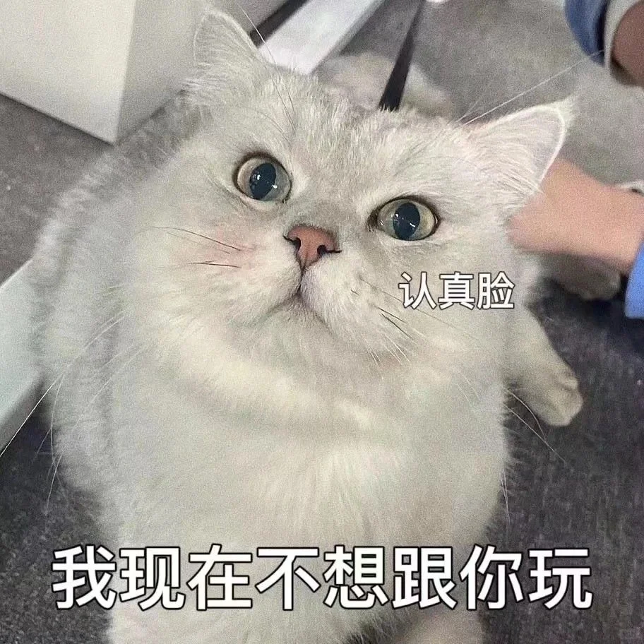 撒娇卖萌的猫咪表情包