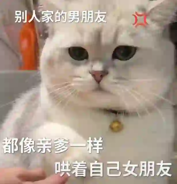 猫咪表情包 套图（逆子）