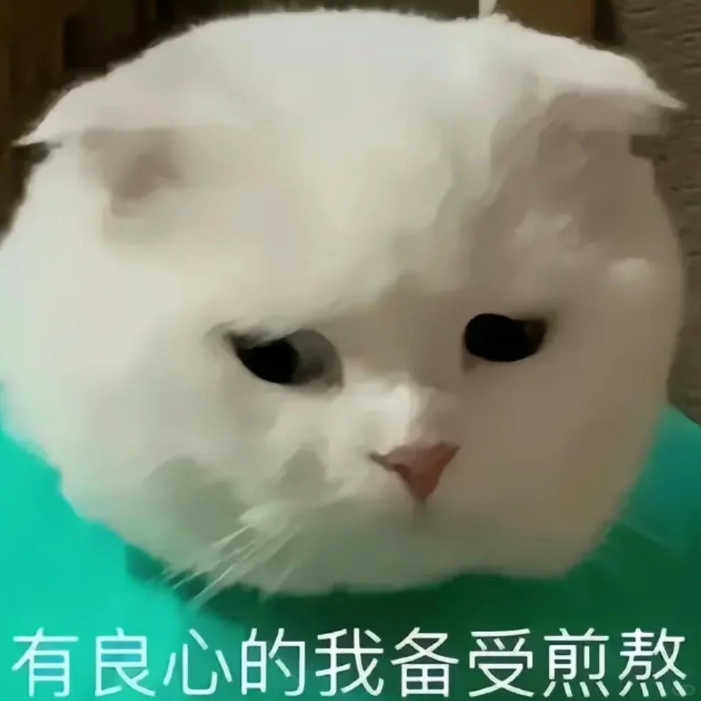 可可爱爱的猫猫表情包