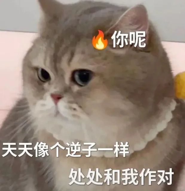 猫咪表情包 套图（逆子）