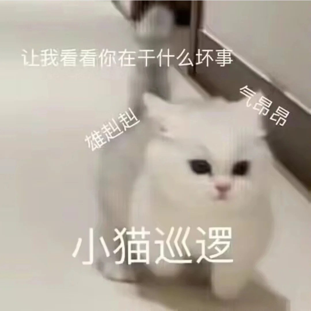 可可爱爱的猫猫表情包