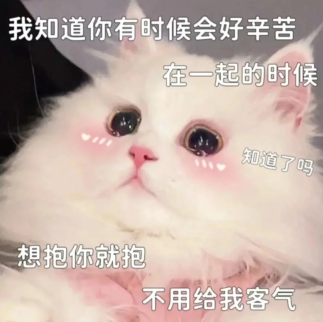 撒娇卖萌的猫咪表情包