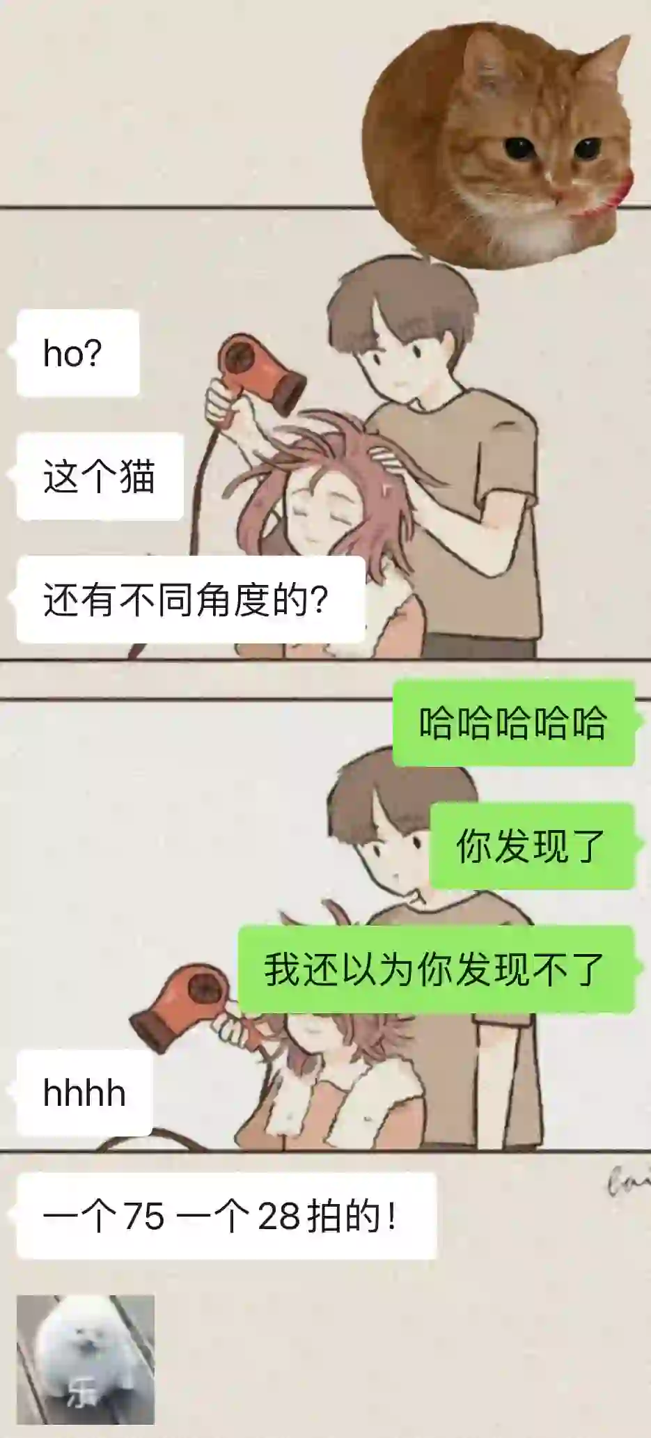 摄影佬眼中的猫咪表情包?