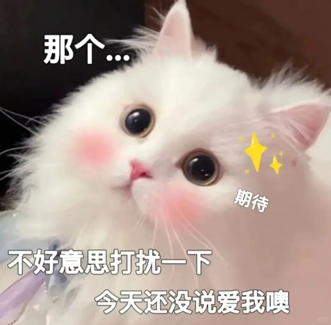 撒娇卖萌的猫咪表情包