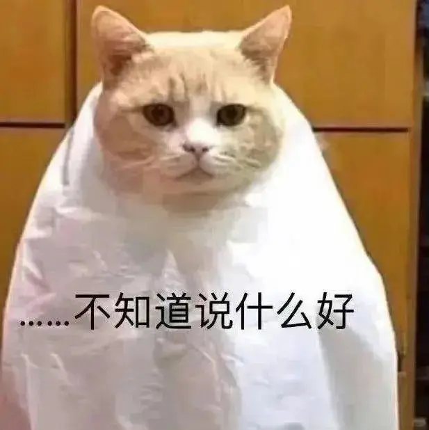 猫咪搞笑表情包