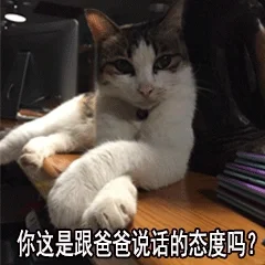 猫咪表情包 套图（哄不好）