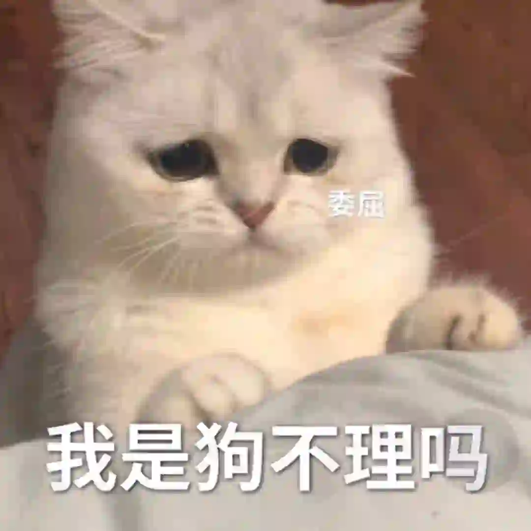 猫咪?表情包，很委屈?