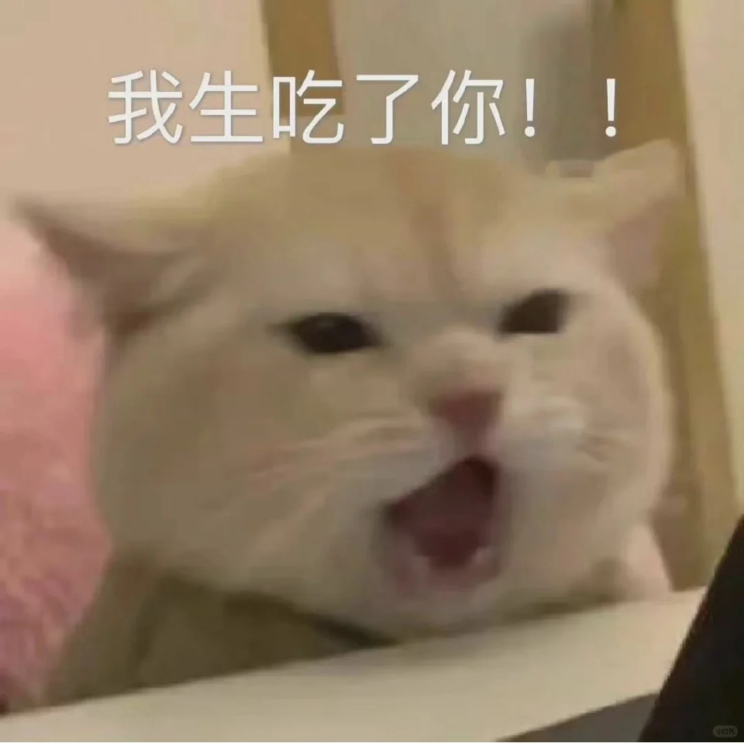 可可爱爱的猫猫表情包