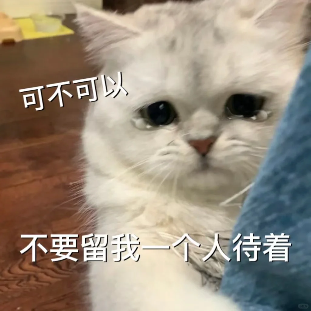 猫咪?表情包，很委屈?