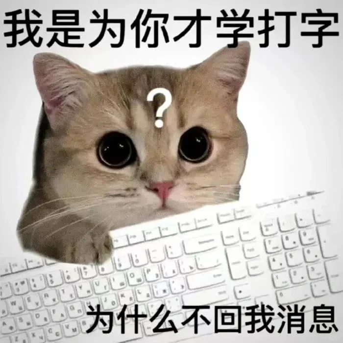 今日份沙雕猫表情包，拿去用吧