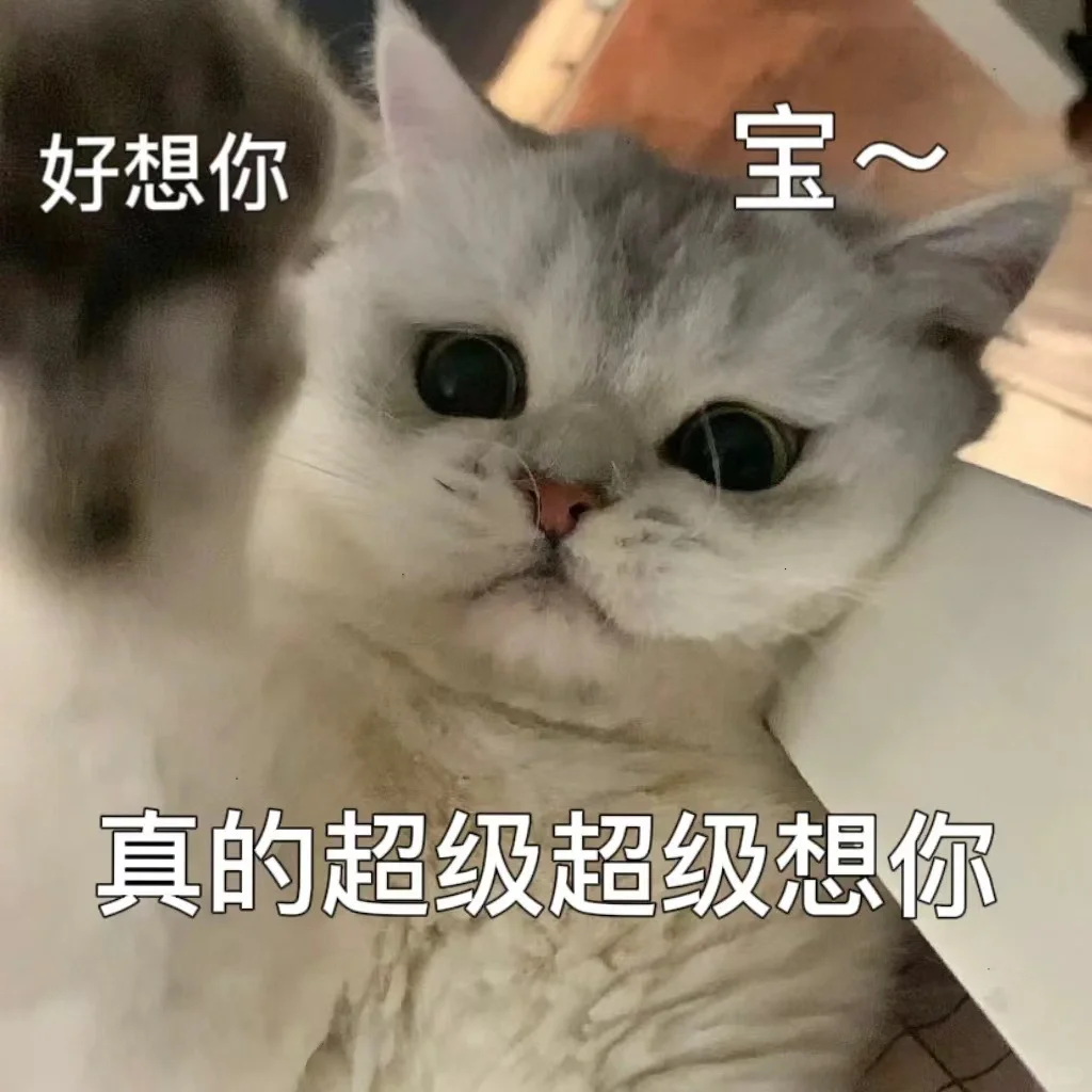 猫咪?表情包，很委屈?