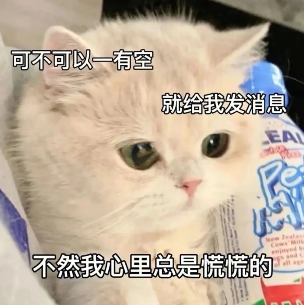 撒娇卖萌的猫咪表情包