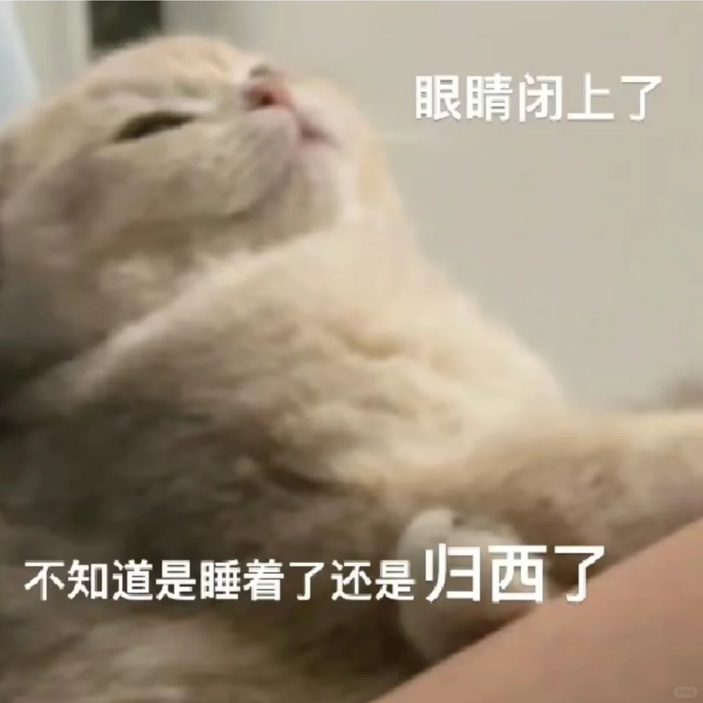 可可爱爱的猫猫表情包