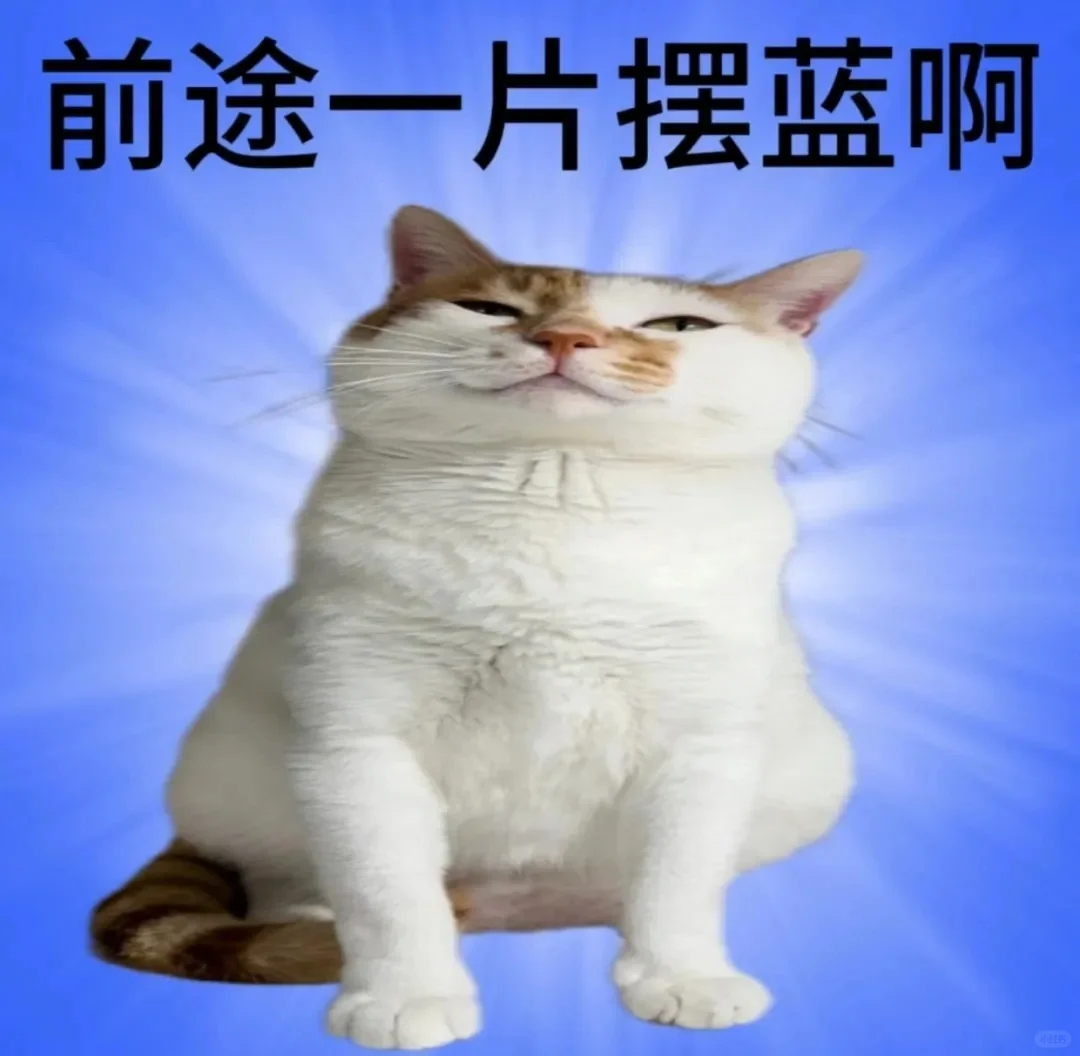 猫子表情包