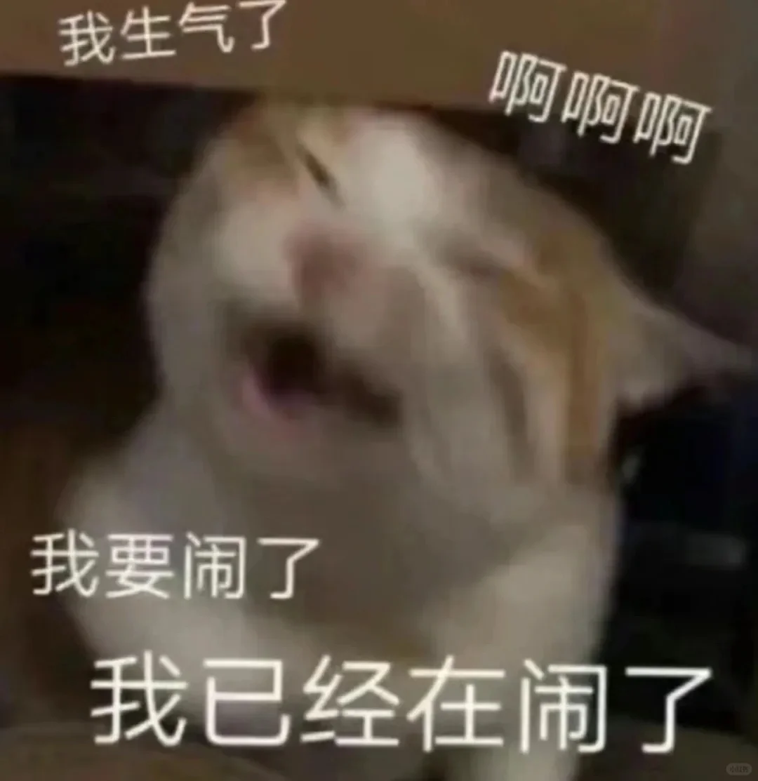 猫子表情包