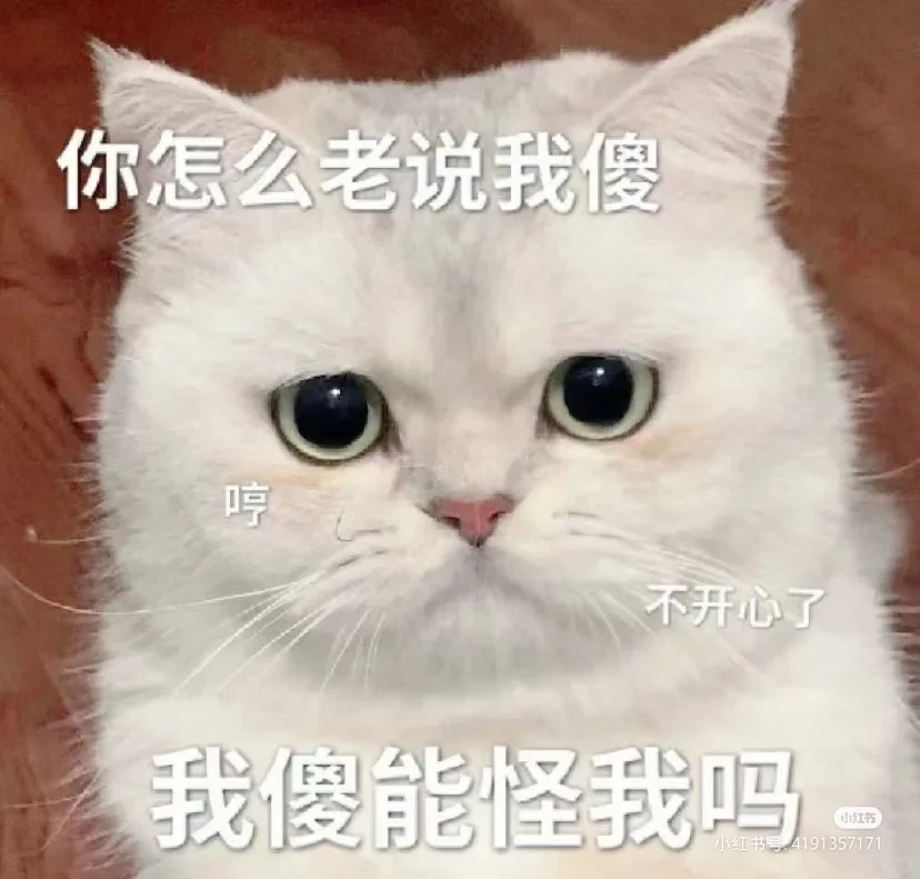 可可爱爱小猫咪表情包！