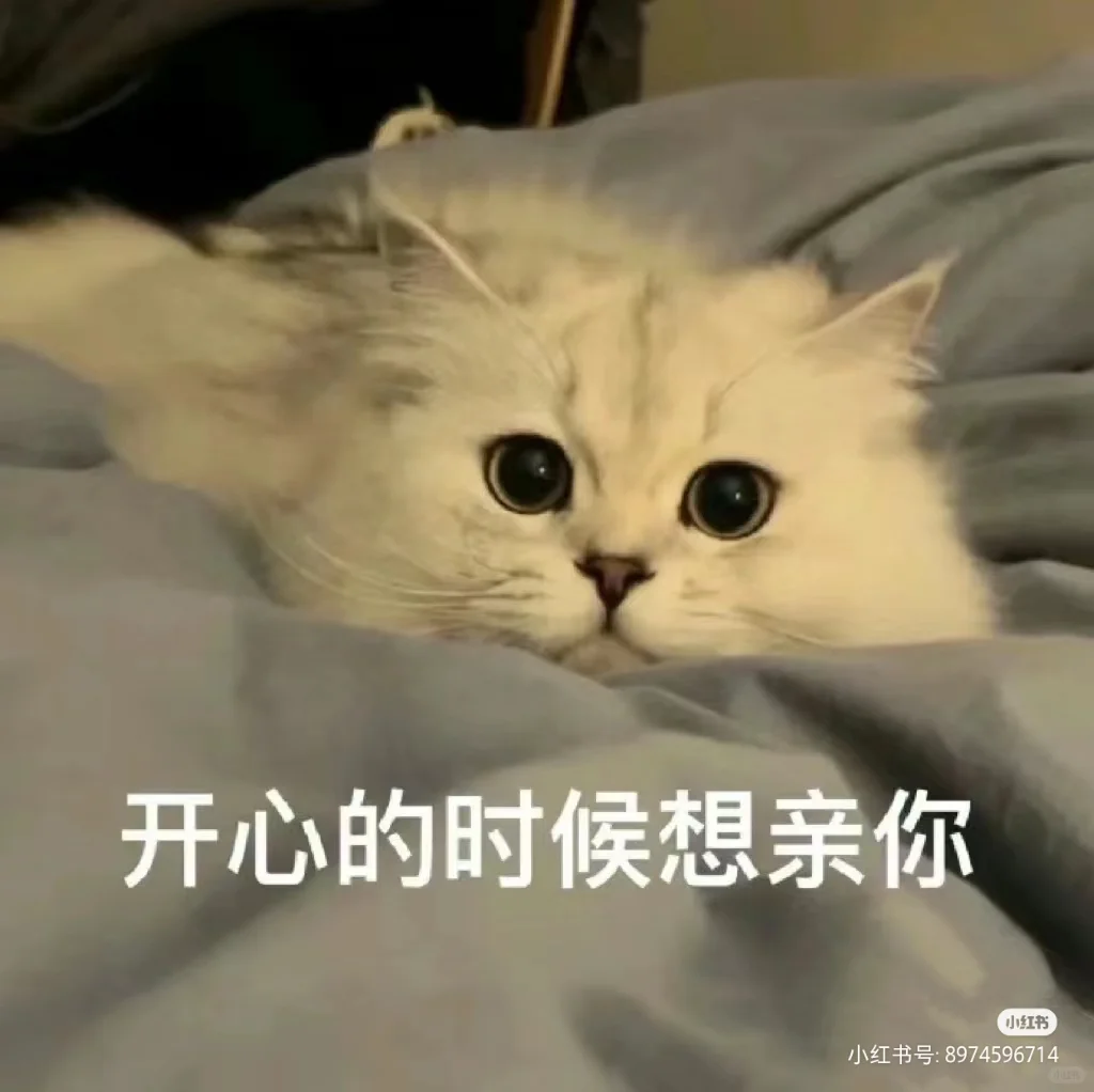 可可爱爱小猫咪表情包！