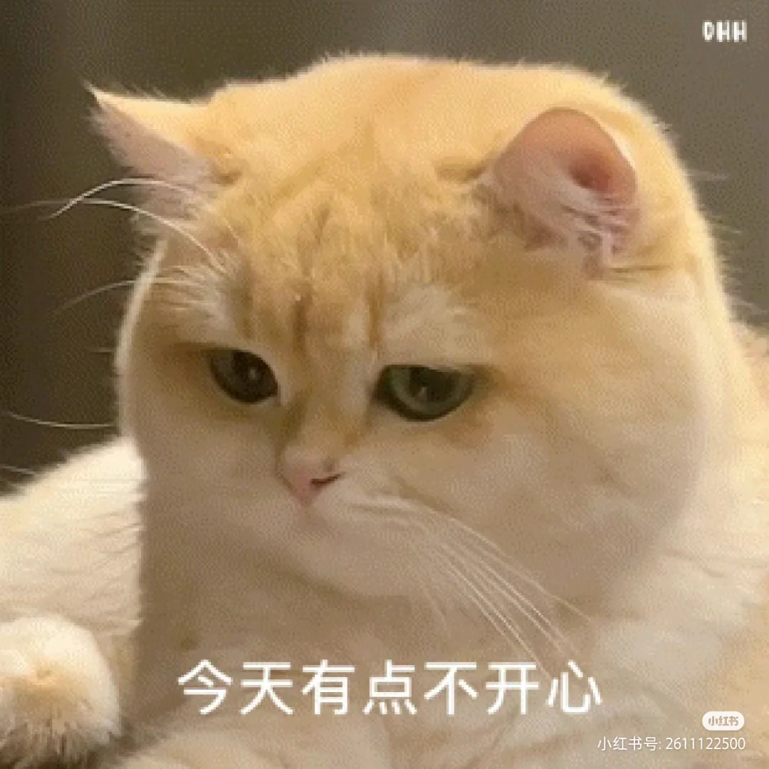 小猫咪表情包！