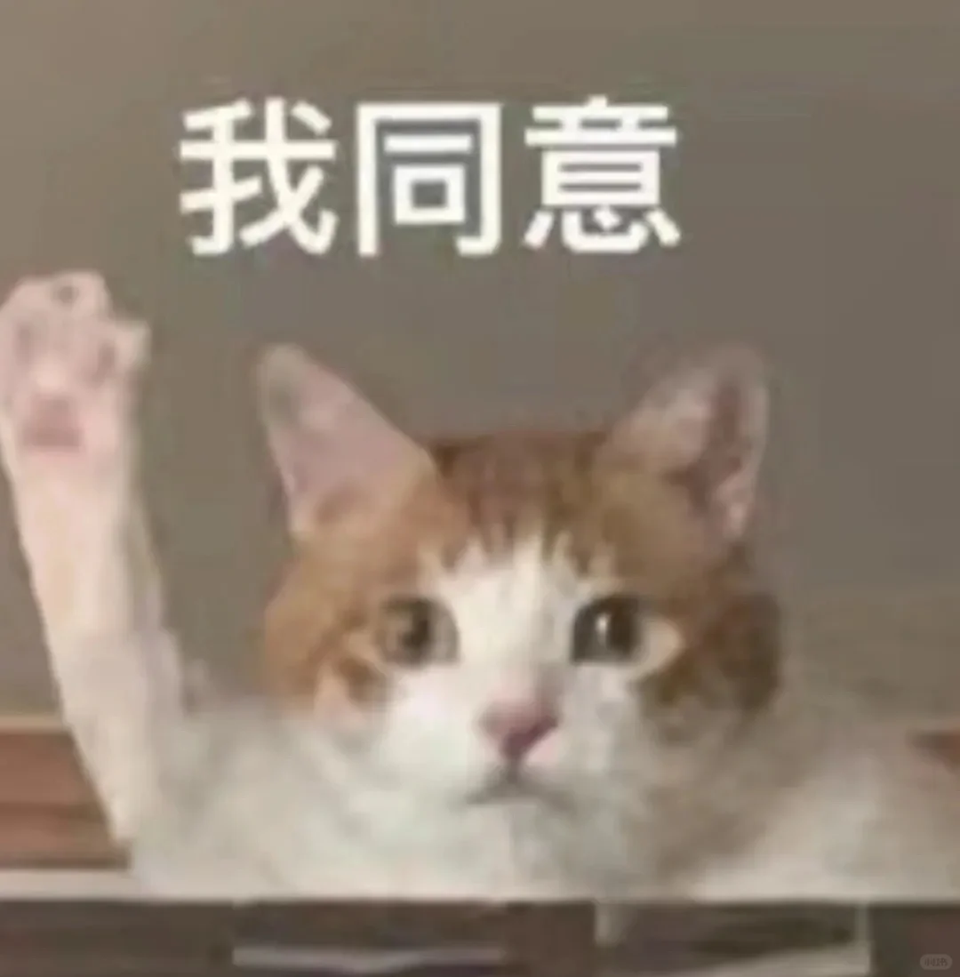 猫子表情包