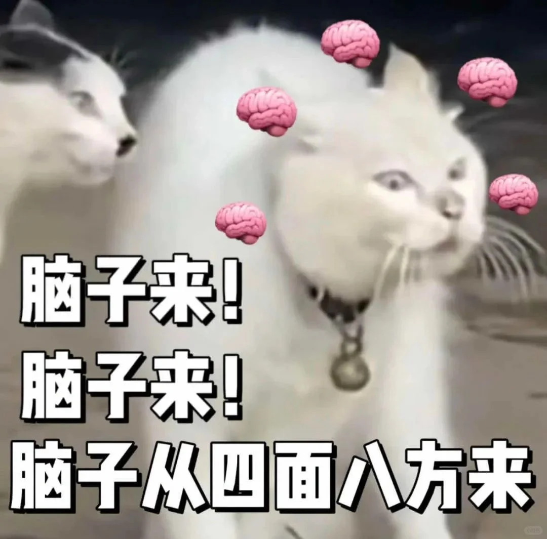 猫子表情包