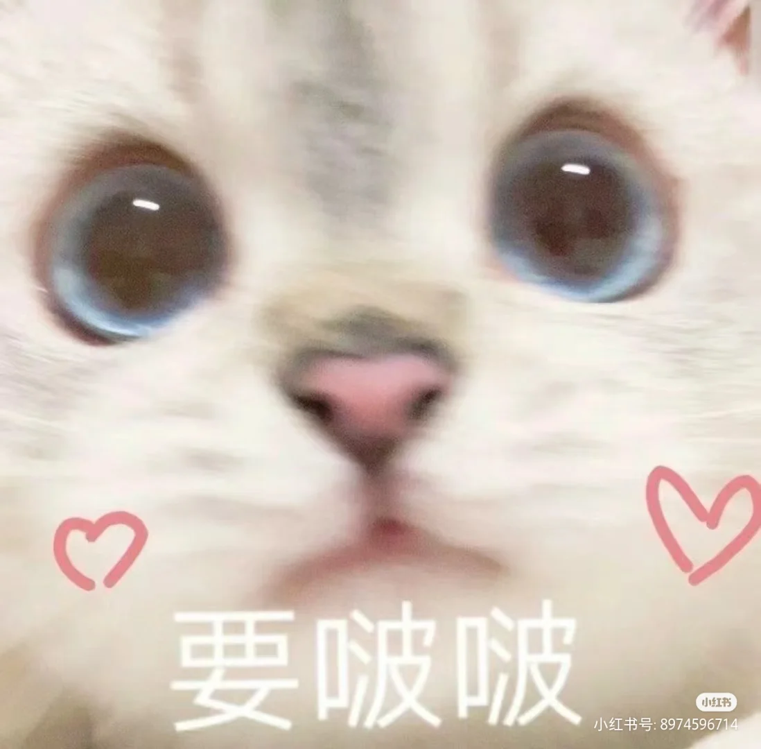 可可爱爱小猫咪表情包！