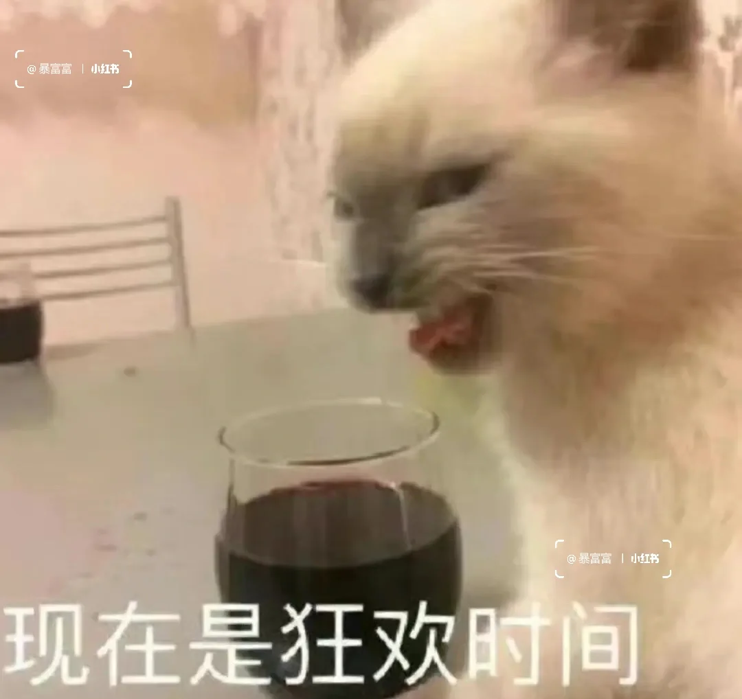 表情包｜我是什么很坏的菠萝小猫嘛？