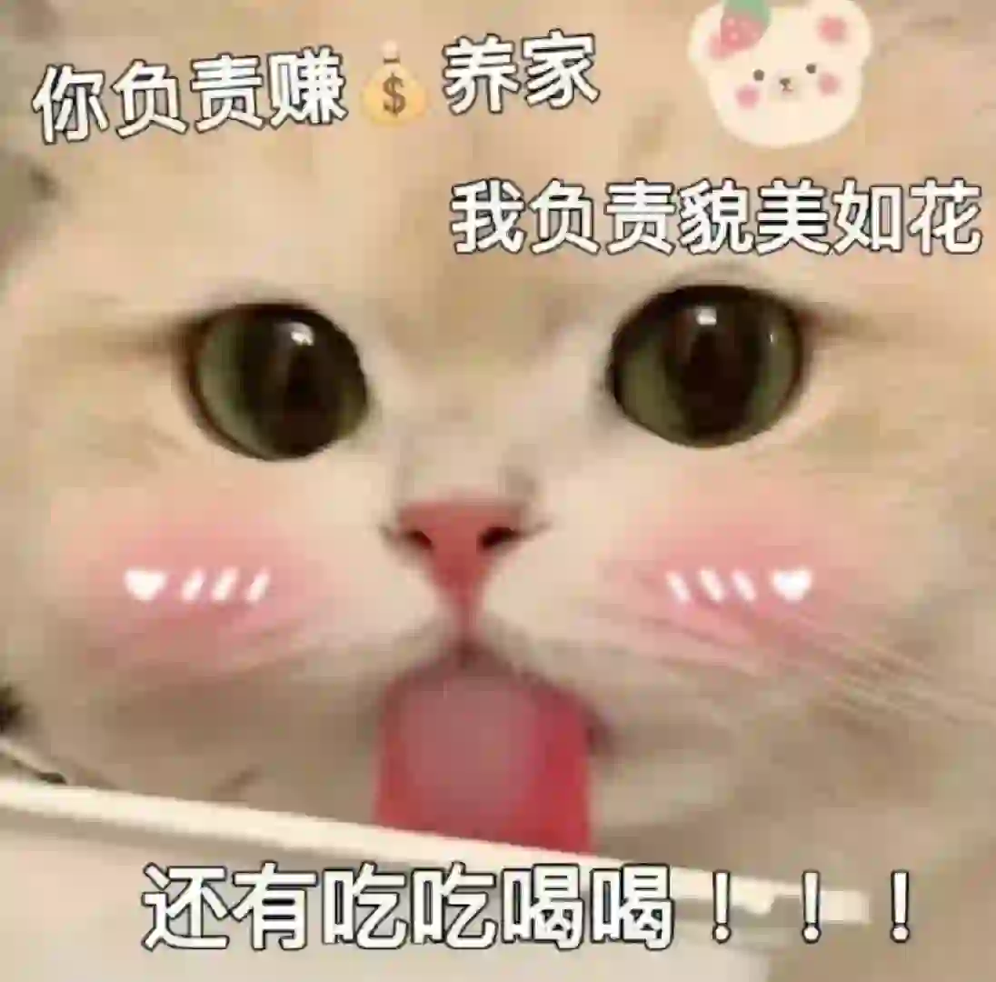 可可爱爱小猫咪表情包