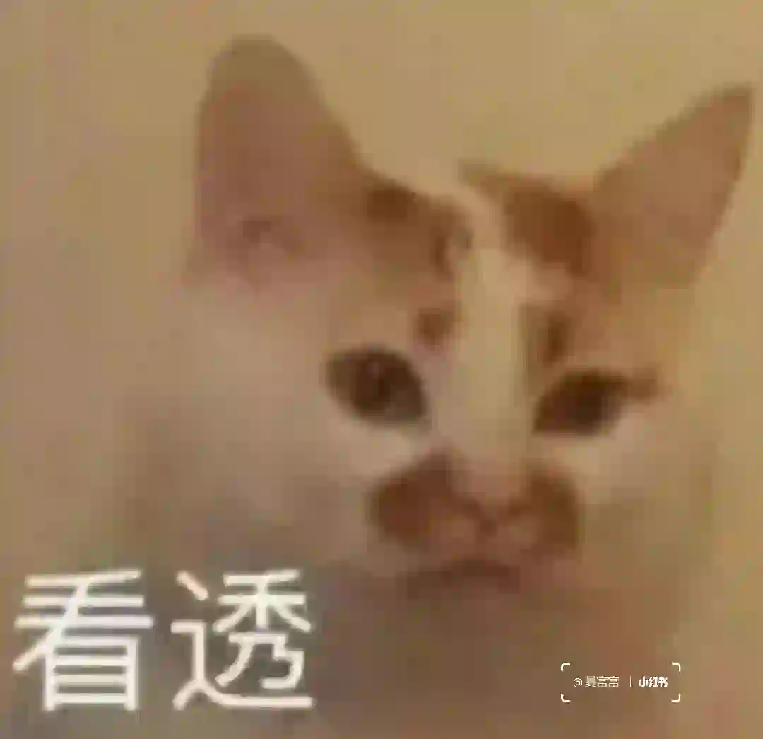 表情包｜我是什么很坏的菠萝小猫嘛？