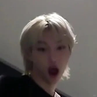 Straykids表情包