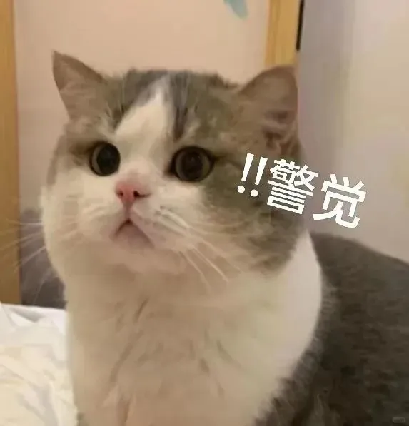 表情包｜超可爱的猫猫和狗狗