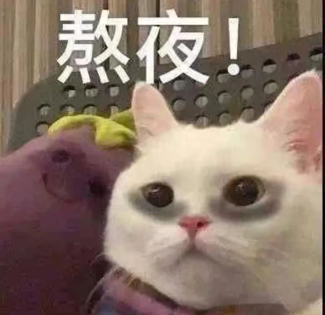 近期爱用表情包⌯⁰ᵕᵔ⌯ಣ