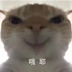 猫咪表情包合集到底谁还没有