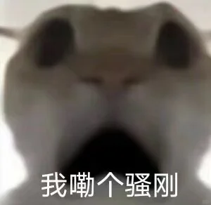 猫咪表情包合集到底谁还没有