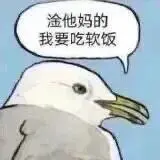 我的人生表情包 ​​​