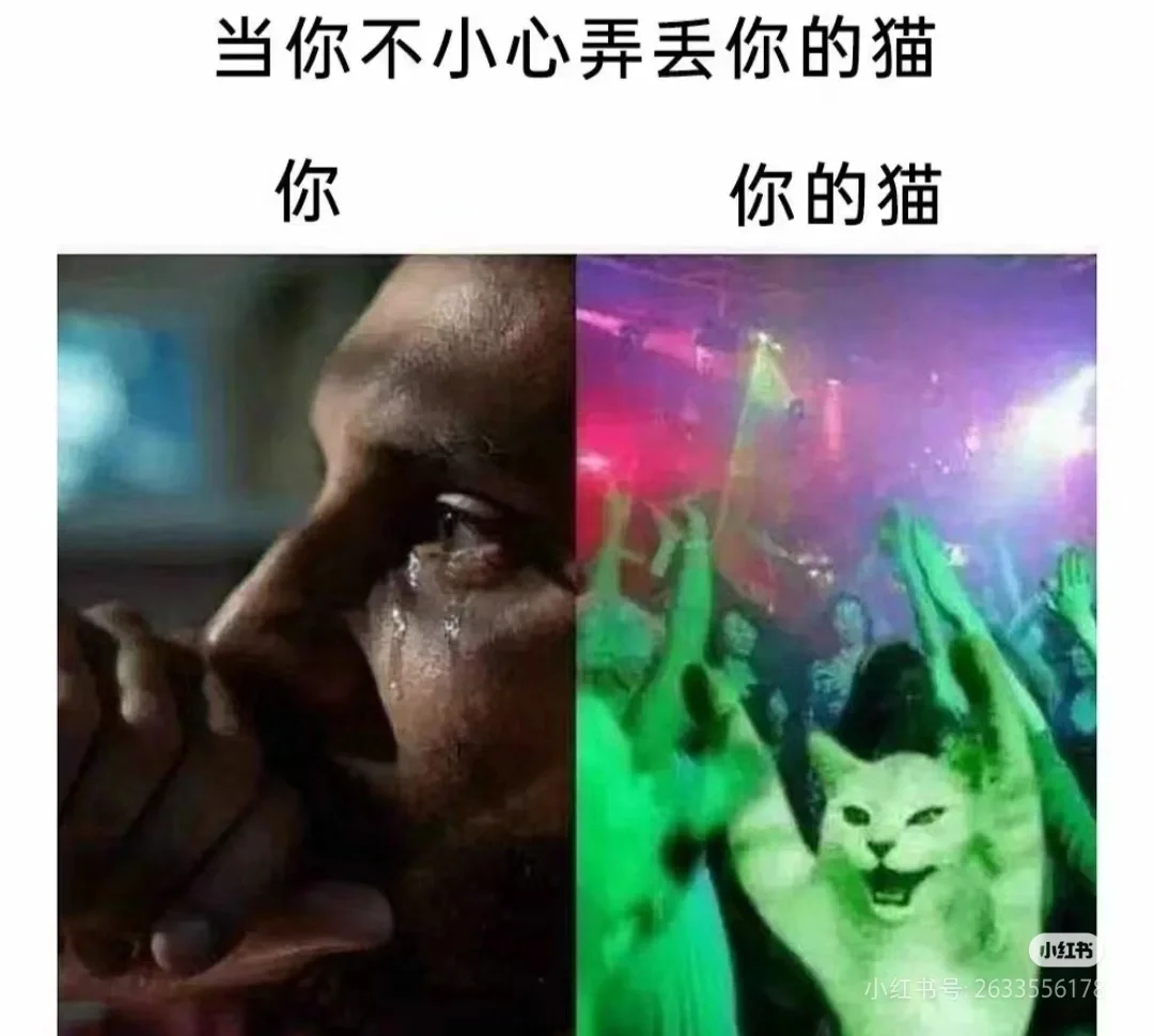 给我火?起来