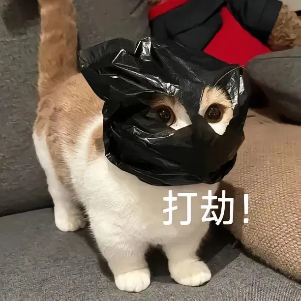 表情包｜超可爱的猫猫和狗狗