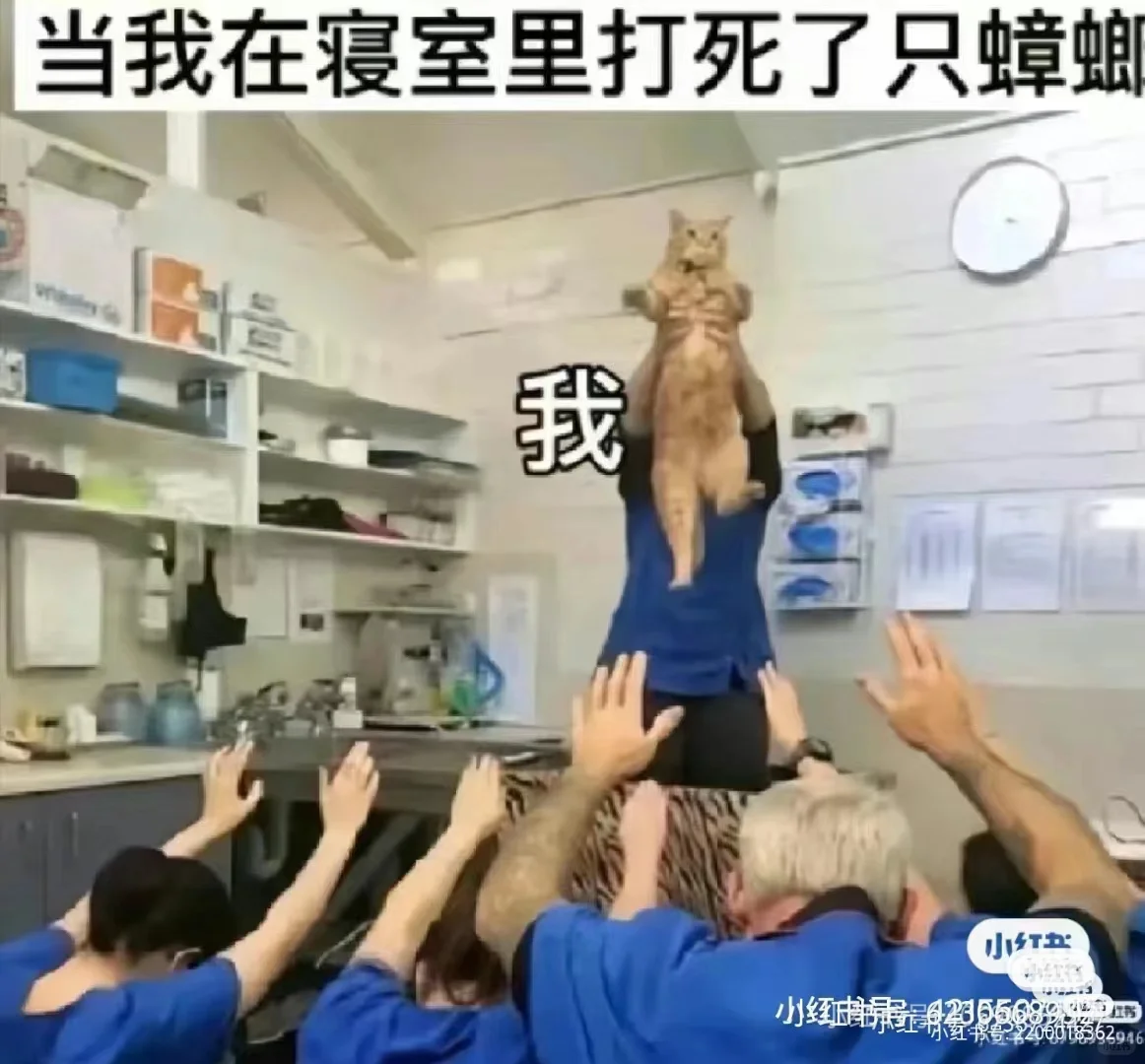 今日梗图