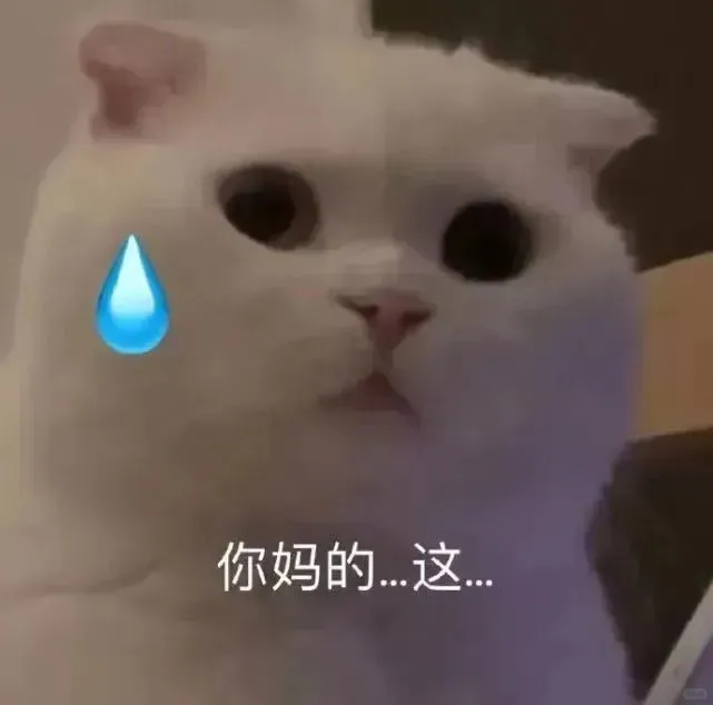 表情包｜超可爱的猫猫和狗狗