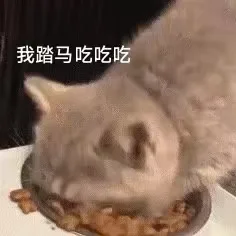 猫me表情包|我也不想一个人水饺