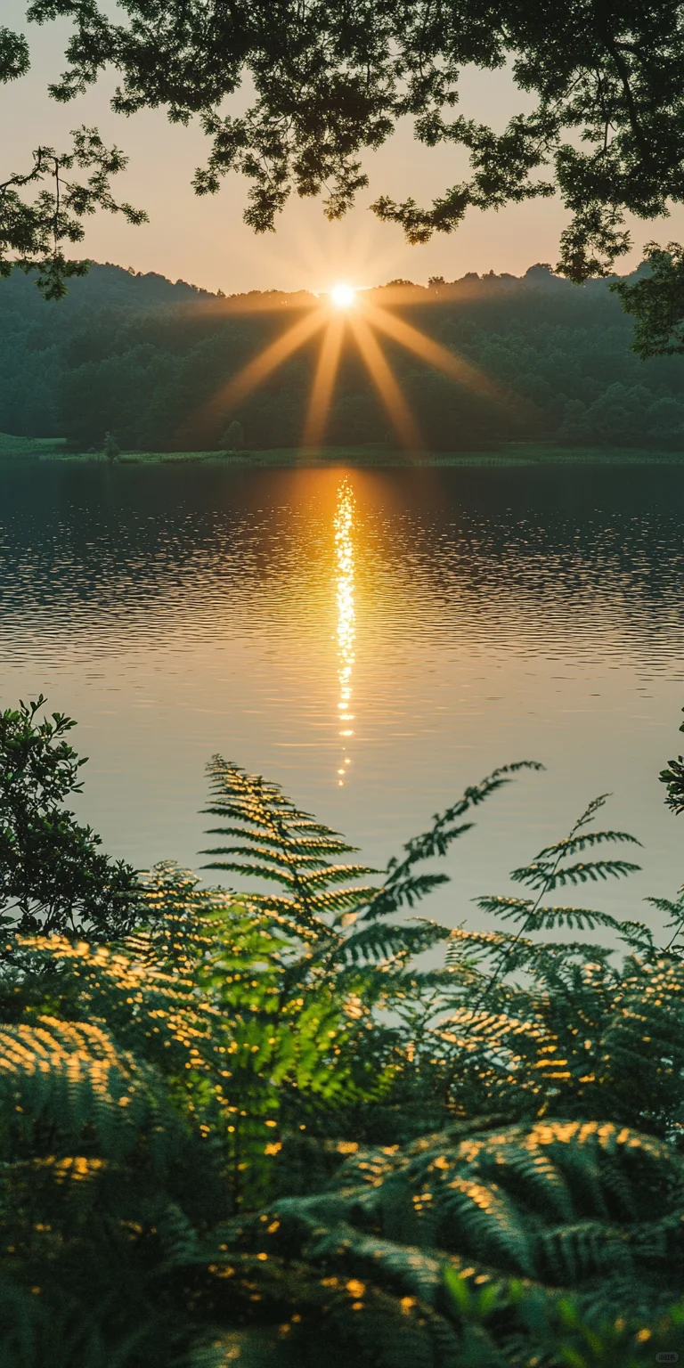 阳光剪影下的静谧湖景——完美手机壁纸