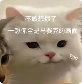 猫me表情包|我也不想一个人水饺