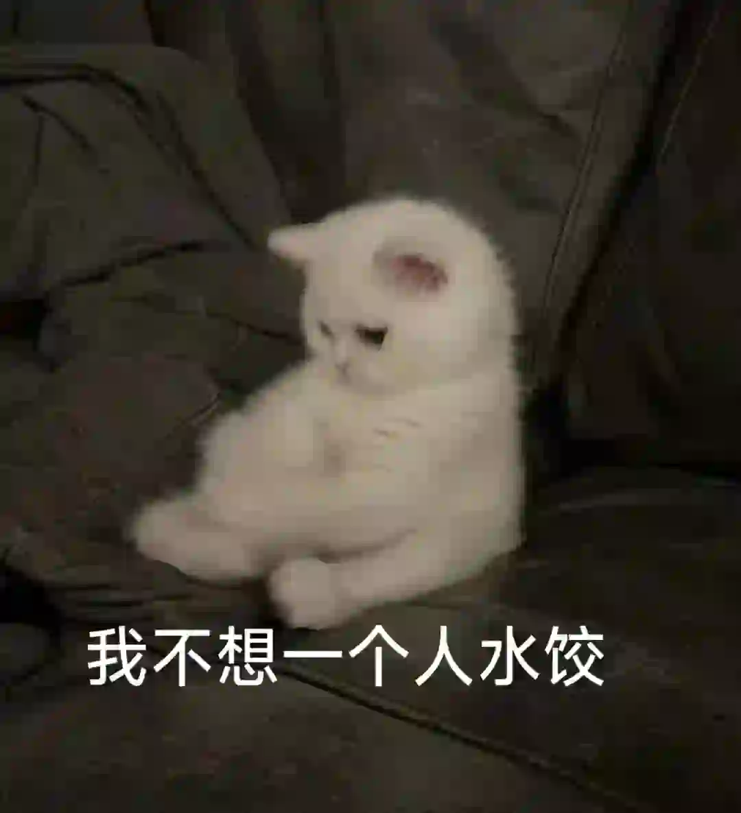 猫me表情包|我也不想一个人水饺