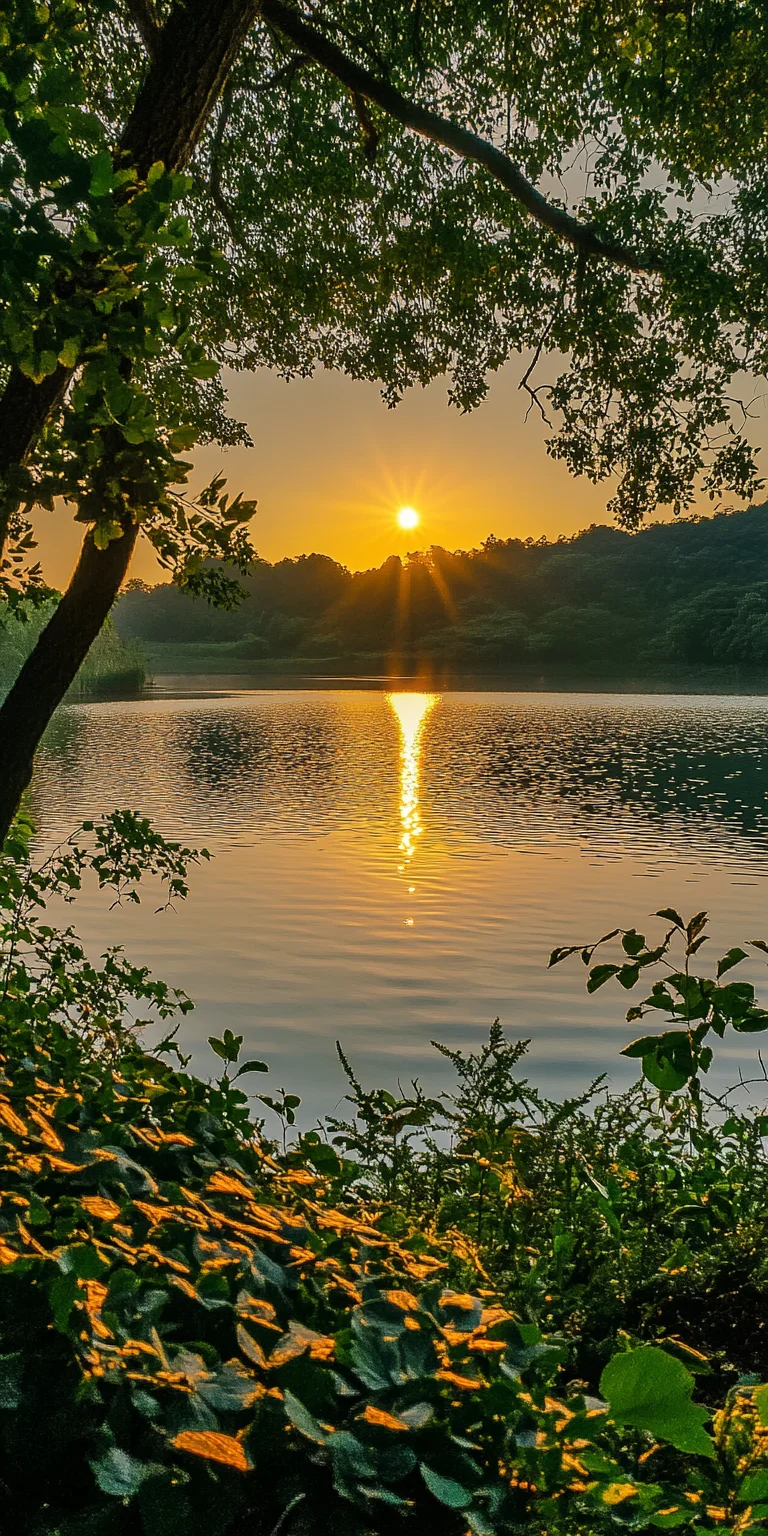 阳光剪影下的静谧湖景——完美手机壁纸