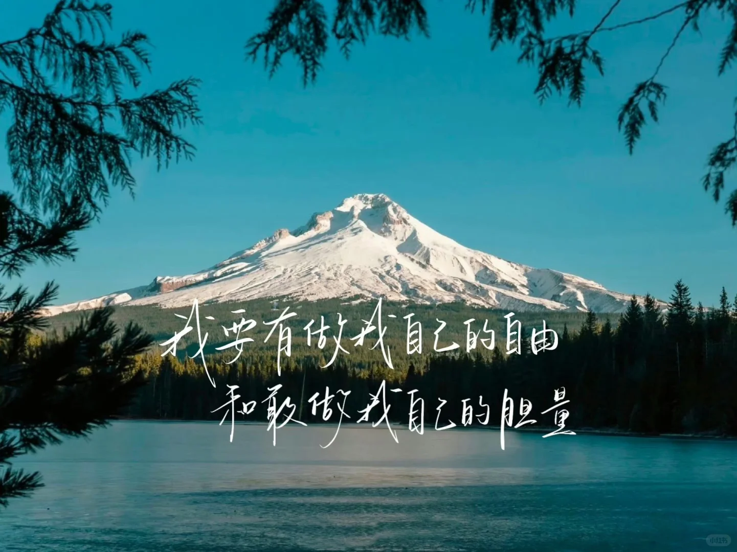 平板ipad壁纸｜祝你逃出苦难向春山