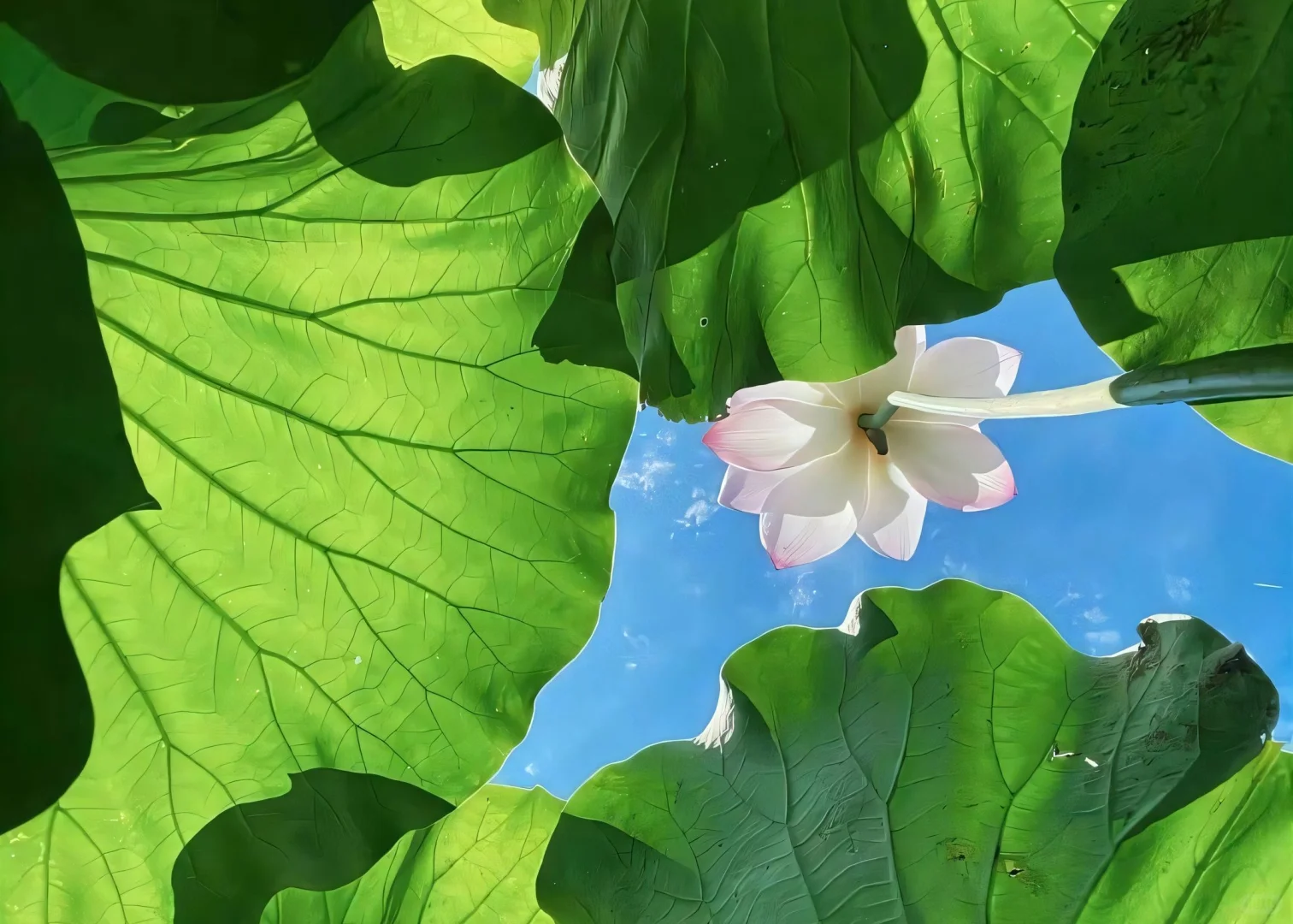 治愈系风景电脑壁纸